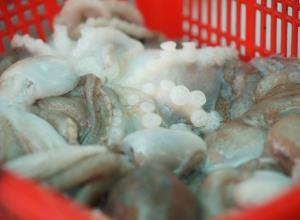 주꾸미,음식정보,국내여행