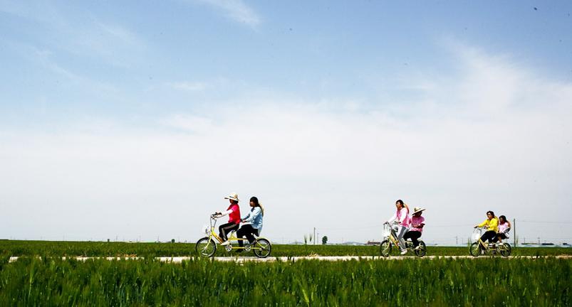 풍요로움이 무르익는 농경문화,전라북도 김제시