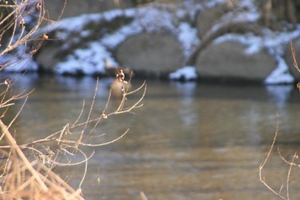 문화와 휴식의 공간이 가득한 서초구 당일코스 1,여행코스,여행추천코스,국내여행
