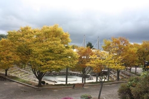 팔공산의 정기가 흐르는 동구로 떠나는 당일코스1,여행코스,여행추천코스,국내여행