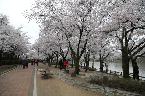 경북 경주시의 시티투어_동해안권(2코스),여행코스,여행추천코스,국내여행