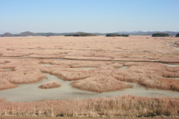 공룡알화석지,국내여행,여행지추천