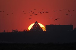 서산버드랜드,국내여행,여행지추천